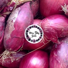 NEU Zwiebel TROPEA ROSSA LUNGA 100+ Samen aus biologischem Anbau samenfest 