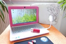 Sony Vaio W11 Pink Rosa LADY Netbook l 10 Zoll HD l Linux 160GB LAN WLAN w NEU