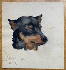 Hundin "PRINZ" Sign.: A.D. 26.7.27.   26x28 cm.