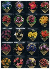 KRD CH Serie  NR. 40  Alpenblumen 42 B Pozellanpupen