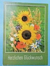 DDR Geburtstagskarte Postkarte Geburtstag Glückwunsch ungelaufen Sommer Strauß 