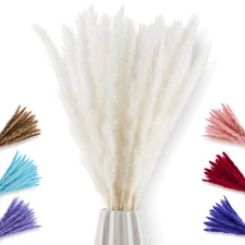 20x Pampasgras klein natürlich getrocknet Blumen Deko Blumenstrauß Pampas Zweige