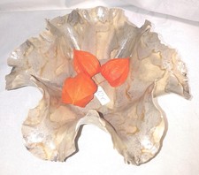 Schale Keramik getöpfert? Handarbeit beige braun Blattdesign Herbst