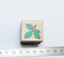 Ilex Weihnachtszweig 3x3 1992 A600 Dainty Holly, Hero-Arts Stempel zu Stampin Up