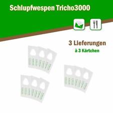 Schlupfwespen gegen Lebensmittelmotten 3 Karten x 3 Lieferungen