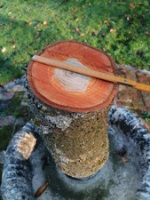 Kirschbaumstamm Kirschholz Bastellholz  11.11. gefällt 