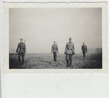 (F20174) Orig. Foto deutsche Soldaten im Feld >Schützenkette< 1940er