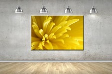 Nahaufnahme gelbe Blumen gerahmt Leinwand Foto Wandbild Bild Home Decor Poster