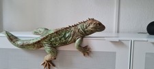 Sehr realitischer lebensgroßer Leguan, Echse, Keramik. (2)