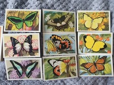 Discover AUSTRALIA (1960) Shell-Schmetterlinge & Motten-sie ihr Set