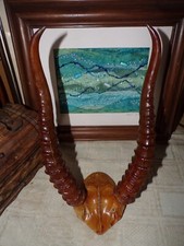 ECHTE ALTE ZIEGENHÖRNER SCHÄDEL TAXIDERMIE