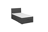 Rauch Möbel Flexx Bett Stauraumbett in Grau metallic, Schwarz, mit 2 Schubladen als zusätzlichen Stauraum Liegefläche 90 x 200 cm Gesamtmaße Bett BxHxT 95 x 90 x 209 cm