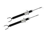 Set Srl Dämpfer Stoßdämpfer Vorne Links + Rechts Set Satz für 2113231700, 2113232400, 2113235000 von Autoteile Gocht
