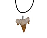 Taddart Minerals – Fossiler Haifischzahn Anhänger mit Öse und Lederkette – handgefertigt