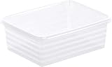 Rotho Linus Aufbewahrungsschale A6, Kunststoff (PP) BPA-frei, transparent, A6/4l (19.0 x 14.5 x 6.0 cm)