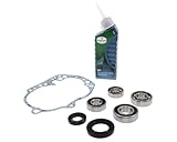 2EXTREME Getriebelager Set + Dichtung + Getriebeöl kompatibel mit Peugeot Speedfight