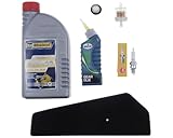 2EXTREME Inspektionsset kompatibel für 4-Takt China Roller GY6, ZNEN, BAOTIAN, FLEX-TECH FIRENZE 50, JINAN-QINGQI, BENZHOU Retro Star, SYM Mio 4-Takt, REX Milano 50, TOPSPEED, KYMCO DJ 50 S, Super 8