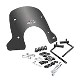 FACO 29210 Windschild New Line Rauchgrau dunkel kompatibel mit Piaggio Vespa GTS 125/300 (2023) inklusive Halterungen und Montagematerial