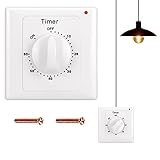 Countdown Timer Schalter: Aicharynic Zeitschalter 60 Minuten Lichtschalter mit Zeitschaltuhr Wassergeschützt Aufputz für Badezimmer Lüfter Lichter Abluftventilator