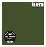 Voices in Harmony [Vinyl LP]