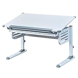 Inter Link – Höhenverstellbarer Schreibtisch – Kinderschreibtisch – Schülerschreibtisch – Schublade mit Push Funktion – Neigbare Arbeitsplatte – Schultaschen Ablage - Aus Metall Grau / Weiß – Skalare