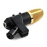 Vaguelly USB Kondensator Mikrofon Mit Echo-Funktion Und Reverb Chip Für Home-Recording Gaming Inklusive Verstellbarem Ständer Schwarz