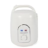 Dampfgenerator 900W Sauna Dampfer Dampfgerät Dampfsauna Dampfmaschine Hautpflege für die Körperentspannung Zuhause SPA-Dusche