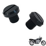 generisch 2PCS motorrad spiegel stopfen kompatibel mit Kawasaki Z1300,Motorcycle rearview mirror blind plug tuning zubehör(black)