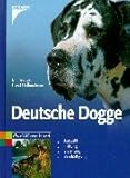 Deutsche Dogge: Auswahl - Haltung - Erziehung - Beschäftigung