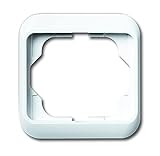 Busch-Jaeger 1721-24G Abdeckrahmen