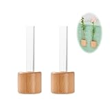 Yeomju 2 Stück Mini Magnetische Pflanzenvermehrungsstationen, Glas Blumen Vase Magnet für Kühlschrank, 2er Set Einzigartige Testrohr Pflanzenvase für Dekoration