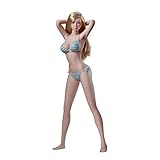 NEDTO 1/6 Female Nahtlose Actionfiguren Full Set Weicher Kleber+ Head + Underwear-1/6 Superflexible Female Dolls Für Kunst/Zeichnung/Fotografie PHMB2019-S34 Action Figure Weiblich