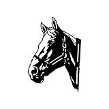 2023 Neu – Outdoor Garten Tiere Rinder Bauernhof Kunst Anhänger Metall Outdoor Peeping Home Decor Glas signiert, C, one size