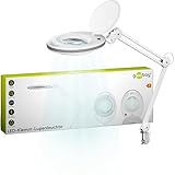 goobay Lupenleuchte/LED Lupenlampe aus Plastik / 8 W Leistungsaufnahme, Farbtemperatur 6500 K/Lichtstrom 650 lm/Betriebsspannung 230 V (AC) 60361, Weiß