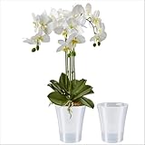 Santino 2er-Set Orchideentopf transparent mit selbstbewässerndem Dochtsystem - D 15 cm - Transparent - 2 L