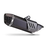 AEIOUPMMA 51mm Universal-Motorradauspuff mit Abdeckung Doppelloch-Schalldämpfer Edelstahl-Schalldämpfer DB Killer Für Xmax 300 PCX160 Z400(B)