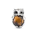 Elfenkauz mit Tigerauge