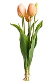 Botanic-Haus künstliches Tulpenbündel Holland mit 3 Tulpen und 2 Tulpenknospen Farbe: lachs real Touch