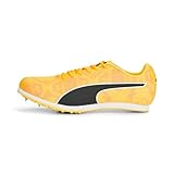 PUMA Herren Evospeed Star 8 Leichtathletik-Schuh, Sun Stream Sunset Glow Puma Black, 42.5 EU
