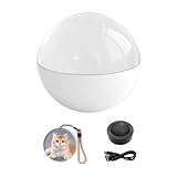 lmoikesz 2,7" Memory Sphere Ball, Kristallkugel-Videoplayer, Digitale 3D-Foto Videoanzeige, Memory Orb Lampe einzigartiges Jubiläums- und Geburtstagsgeschenk für Paare, Freunde und Familie,Weiß,7CM
