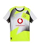 PUMA Borussia Dortmund Replica Trikot Away Kids grau, 128 Kinder
