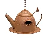 DanDiBo Vogelhaus zum Aufhängen Edelrost Deko Rost Gießkanne Wetterfest 96423 Nistkasten Futterstation für Vögel Shabby mit Kette hängend Metallkanne Kanne Balkon