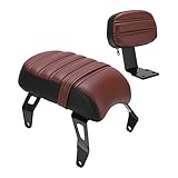 soziussitz indian scout bobber,indian scout bobber zubehör,Powersports Sissy Bars, Beifahrersitz Hinten mit Rückenlehnen-Kits Ersatz für Indian Scout Bobber 2018-2021 ()