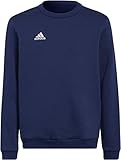 adidas Unisex Kids ENT22 SW TOPY Sweatshirt, Tenabl, 1314