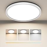 ROTTOGOON Deckenlampe 24W 2200lm LED Deckenleuchte Ultra Dünn Rund Flach Modern Schlicht Deckenleuchte 3000K/4000K/6500K für Badezimmer Schlafzimmer Wohnzimmer Küche 29cm