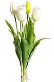 Botanic-Haus künstliches Tulpenbündel Holland mit 3 Tulpen und 2 Tulpenknospen real Touch (Creme-weiß)