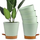 Xiumeso 5 Stück selbstbewässernde Blumentöpfe aus Kunststoff, Runder Blumentopf für drinnen und draußen mit Wassertank, Untersetzer, Gartenblumen-Bonsai, grün, Ø 15,2 x 11 cm