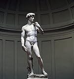 PTLYE Klassische Malerei Leinwand Wandbild Michelangelo David Von Michelangelo Buonarroti Moderne Leinwand Bilde für Bürodekoration 60x90cm