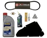 2EXTREME Inspektionsset 50ccm kompatibel für Piaggio NRG, NRG MC2 MC3 Power, NTT, Quartz, Sfera, TPH, Storm, Zip, Vespa ET2 LX, LXV, Gilera Runner, Ice, DNA, Storm, Aprilia SR, Derbi GP1, Atalantis