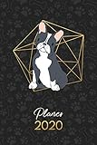 Planer 2020: Terminkalender Wochenplaner Monatsplaner - Boston Terrier schwarz weiß (12 Monate Jan bis Dez - Kalender - Hund, Band 11)